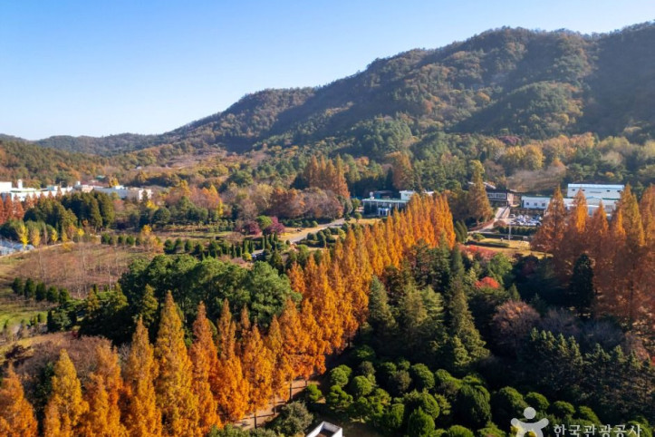 전라남도 산림연구원 여행 추천 - 메고지고