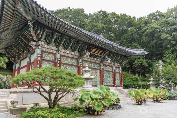 미륵사(용인) 여행 추천 - 메고지고