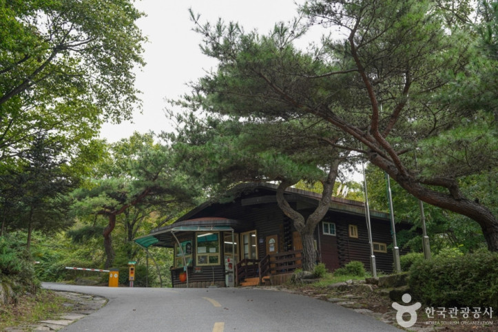 국립 운문산자연휴양림 여행 추천 - 메고지고