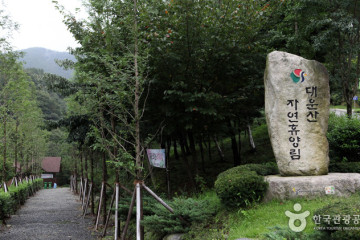 숲애서 여행 추천 - 메고지고