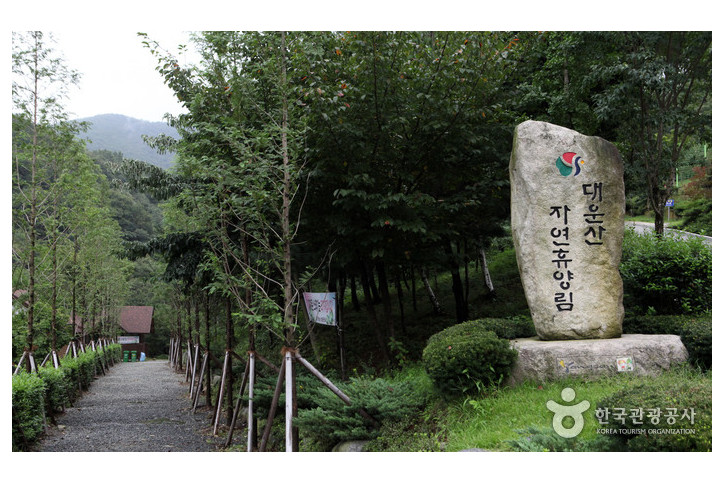 대운산 여행 추천 - 메고지고