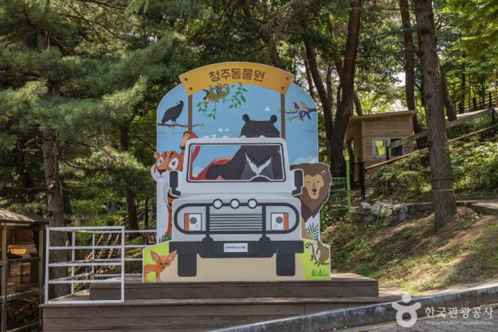 청주동물원 여행 추천 - 메고지고