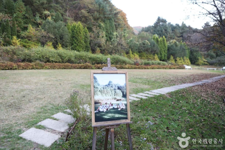 서후리숲 여행 추천 - 메고지고