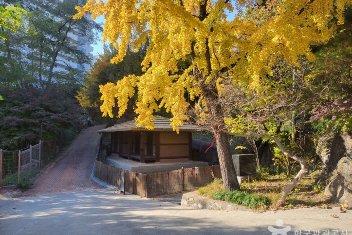 비우당 여행 추천 - 메고지고