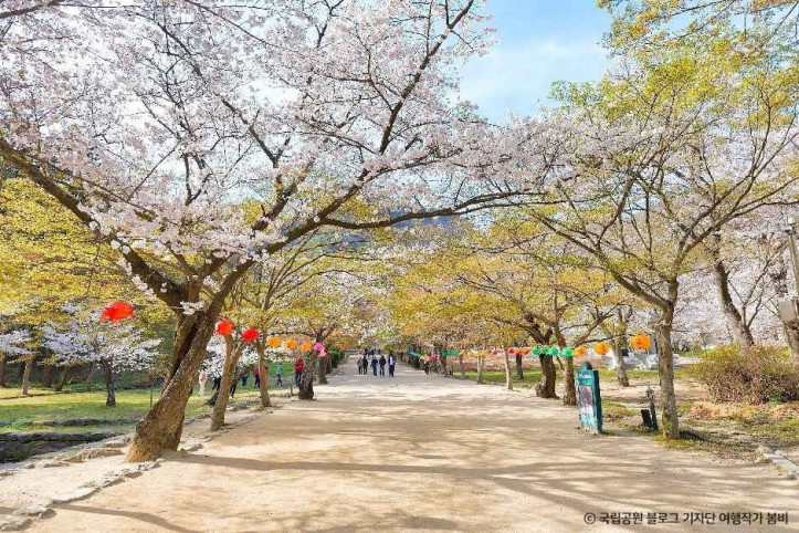 내소사(부안) 여행 추천 - 메고지고