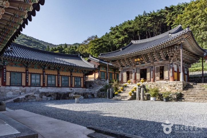 용문사(남해) 여행 추천 - 메고지고