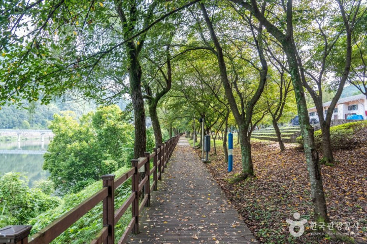 금강로하스대청공원 여행 추천 - 메고지고