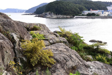 신덕해수욕장 여행 추천 - 메고지고
