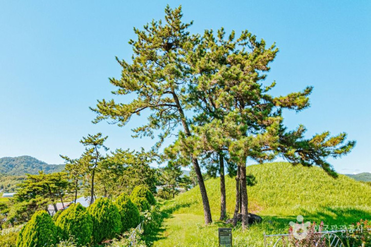 함평예덕리고분군 여행 추천 - 메고지고