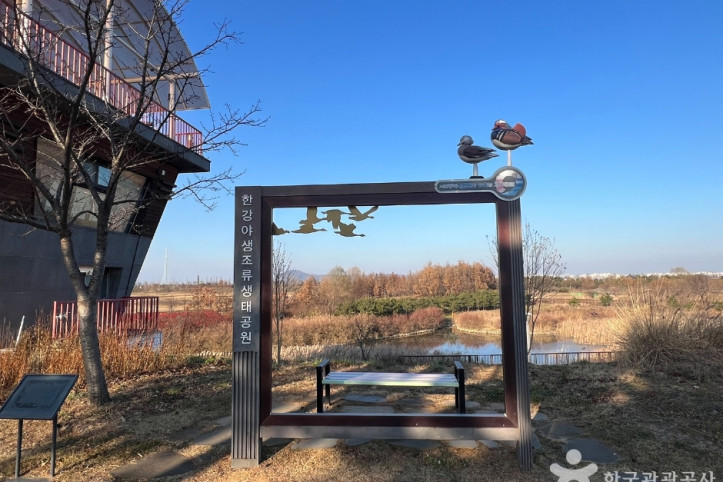 김포한강야생조류생태공원 여행 추천 - 메고지고