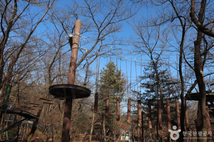 관악산자연공원 여행 추천 - 메고지고