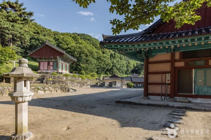 안심사(청주) 여행 추천 - 메고지고