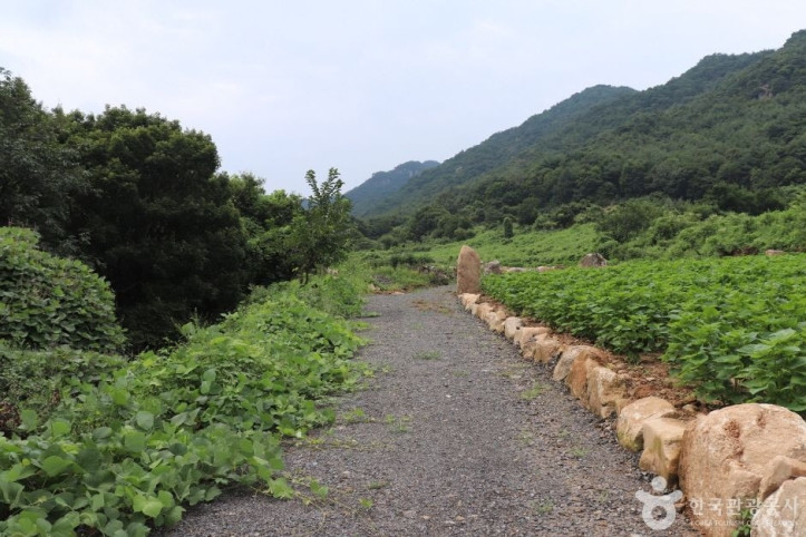 악휘봉 여행 추천 - 메고지고
