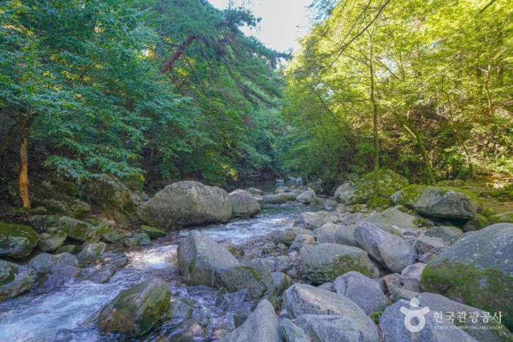 기백산 용추계곡과 용추폭포 여행 추천 - 메고지고