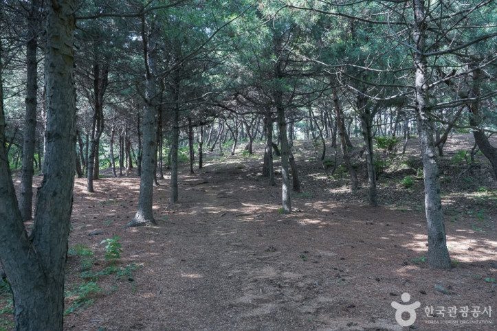 영신공원 여행 추천 - 메고지고
