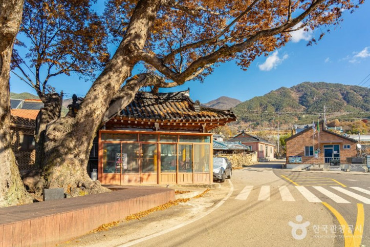 상황마을 여행 추천 - 메고지고
