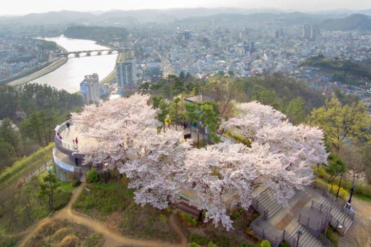 선학산전망대 여행 추천 - 메고지고