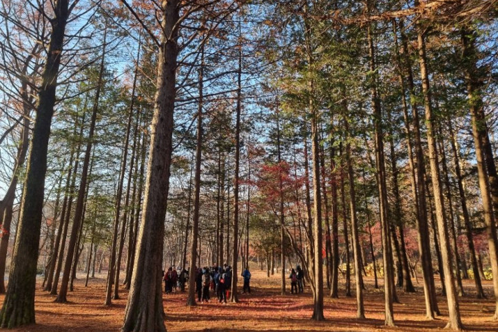 [서울둘레길 10코스] 우면산코스 여행 추천 - 메고지고