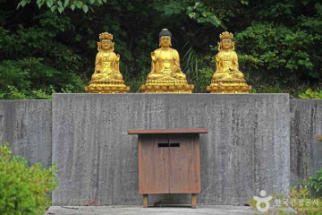 점봉산 곰배령 여행 추천 - 메고지고