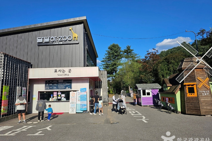 아침고요가족동물원 여행 추천 - 메고지고