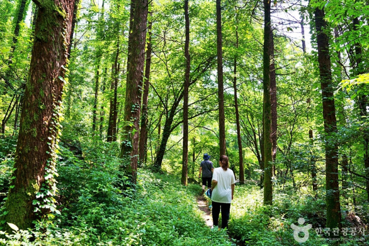 죽령옛길 여행 추천 - 메고지고