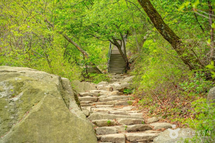 관악산 여행 추천 - 메고지고