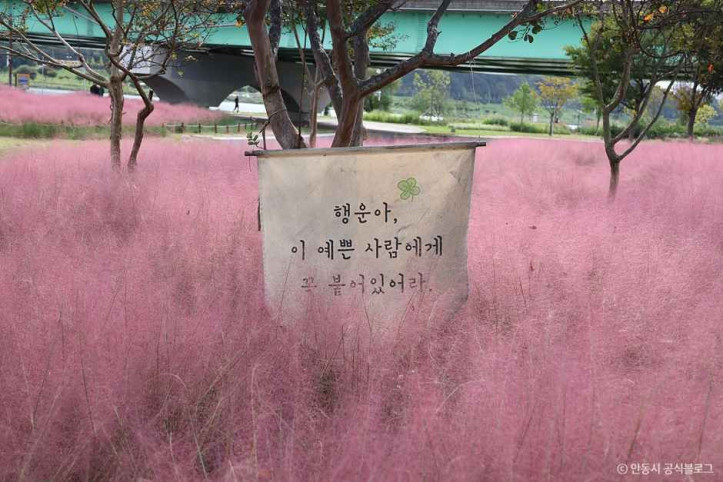 그라스원 여행 추천 - 메고지고