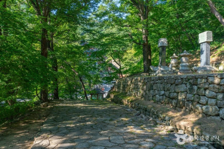 회진당원의대사지비 여행 추천 - 메고지고