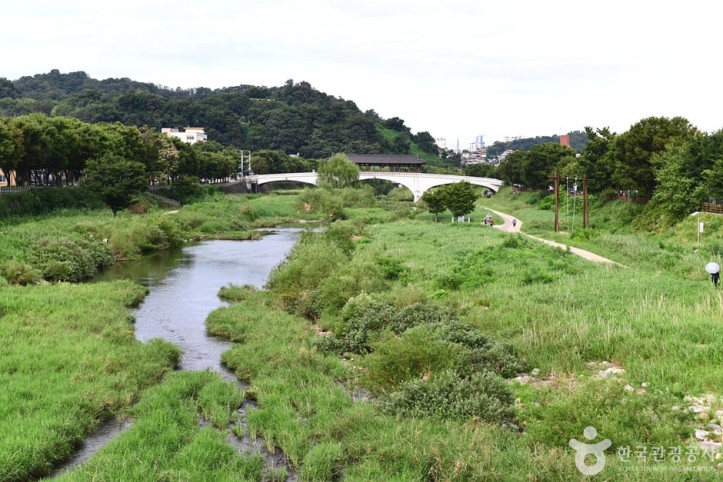 전주천 여행 추천 - 메고지고
