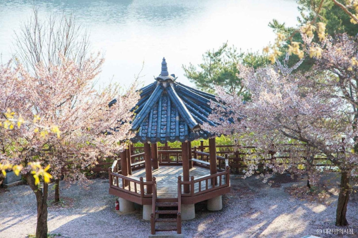 노고산 여행 추천 - 메고지고