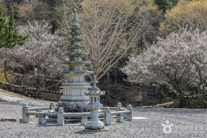 금둔사 여행 추천 - 메고지고