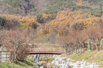 진안 원촌마을 여행 추천 - 메고지고