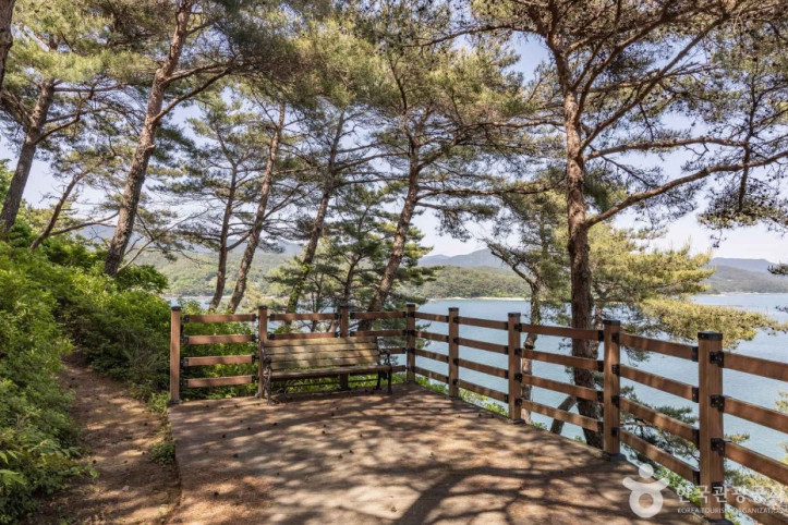 고성 솔섬 여행 추천 - 메고지고