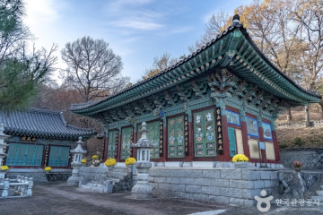 주주팜 동물농장 여행 추천 - 메고지고