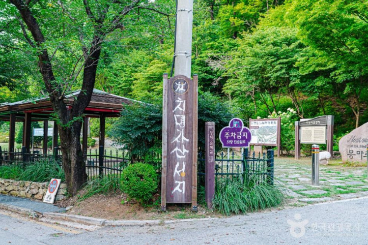 치명자산성지 여행 추천 - 메고지고