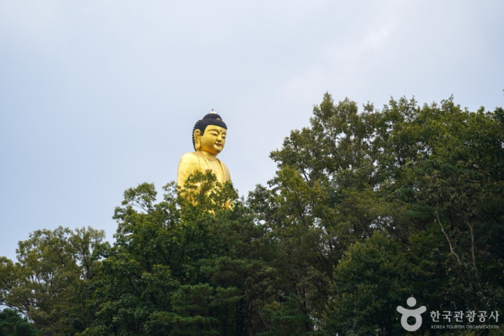 만불사(영천) 여행 추천 - 메고지고