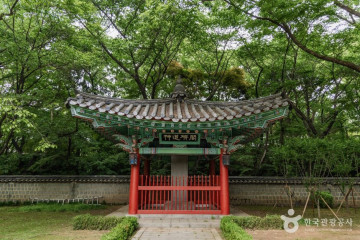 노량진컵밥거리 여행 추천 - 메고지고