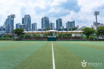 원더파크 여행 추천 - 메고지고