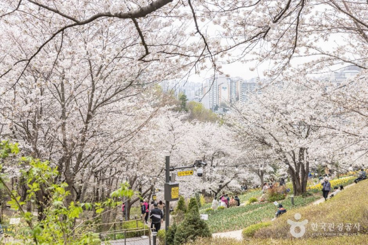 연희숲속쉼터 여행 추천 - 메고지고