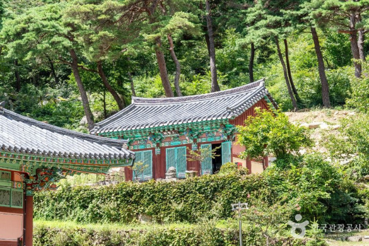 대둔사(구미) 여행 추천 - 메고지고