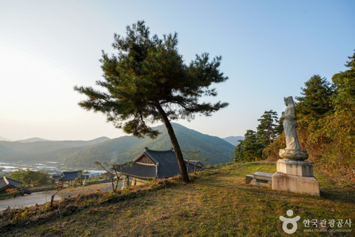 반룡사(경산) 여행 추천 - 메고지고