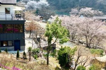 송광사(완주) 여행 추천 - 메고지고
