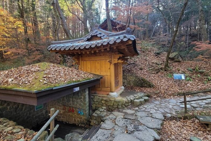 밀브릿지 여행 추천 - 메고지고