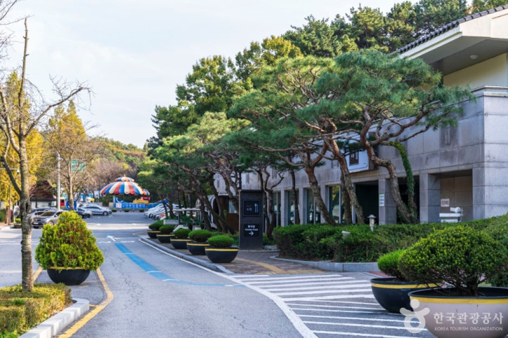 천안상록리조트 여행 추천 - 메고지고