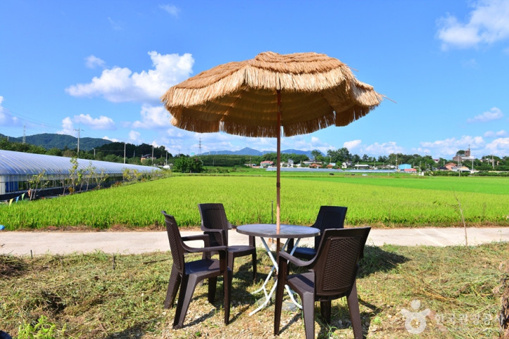하비스트랜드 여행 추천 - 메고지고
