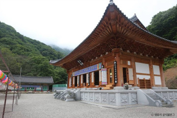 내장산 굴거리나무군락 여행 추천 - 메고지고