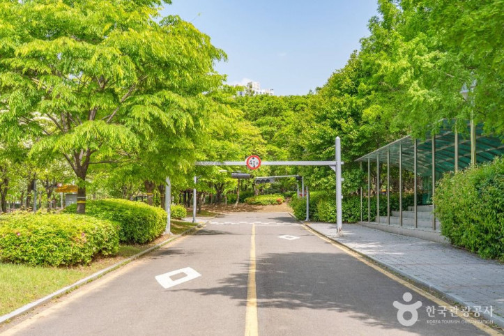 수원어린이교통공원 여행 추천 - 메고지고