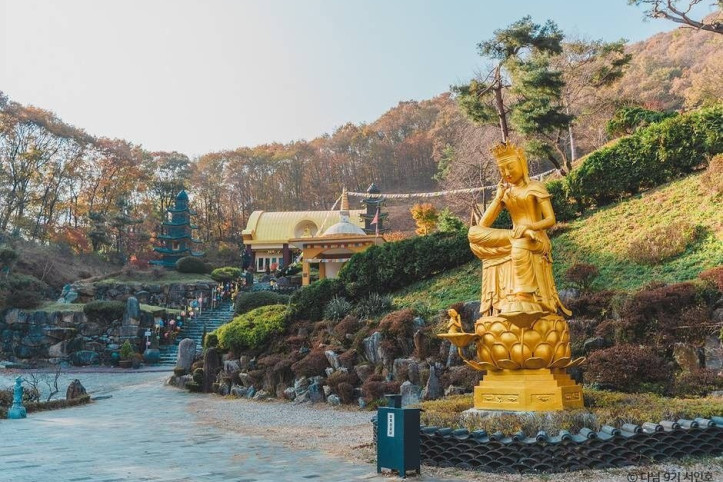 와우정사(용인) 여행 추천 - 메고지고