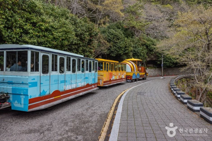 영도 등대 여행 추천 - 메고지고