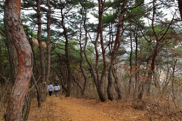 나각산 여행 추천 - 메고지고